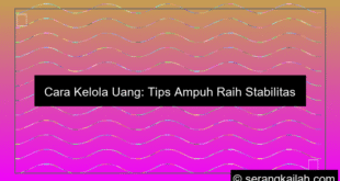 cara kelola uang
