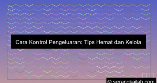 cara kontrol pengeluaran