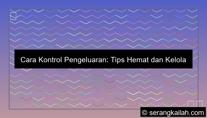 cara kontrol pengeluaran