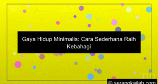 visual gaya hidup minimalis