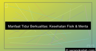 manfaat tidur berkualitas