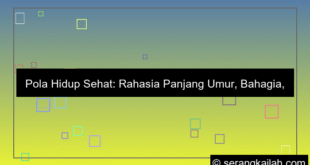 grafik pola hidup sehat