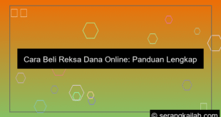 ilustrasi cara beli reksa