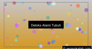 detoks alami tubuh