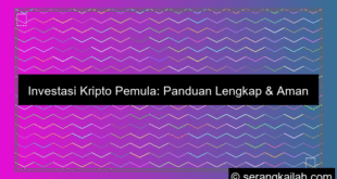 ilustrasi investasi kripto pemula