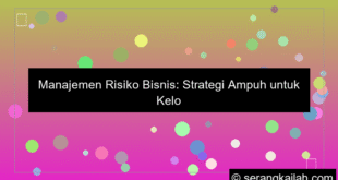 gambar manajemen risiko bisnis
