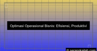 optimasi operasional bisnis