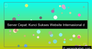 server cepat untuk website internasional