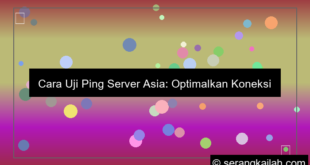 uji ping server asia