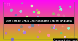 desain tools untuk cek kecepatan server